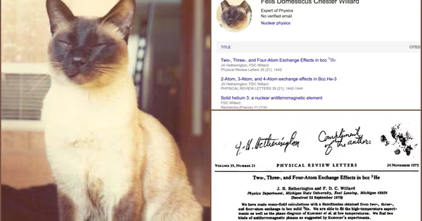 Chú mèo uyên bác nhất lịch sử là đồng tác giả 3 công trình vật lý và được mời làm việc tại đại học