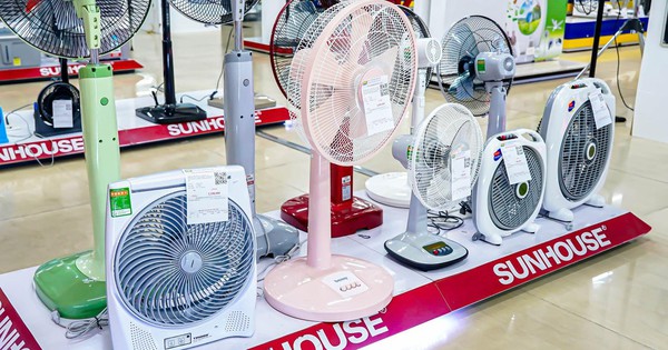 Các loại quạt phổ biến hiện nay và nên mua loại nào tốt?