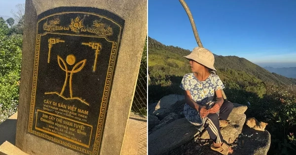 Tà Xùa vào top điểm đến toàn cầu 2026: “Thiên đường săn mây” của Việt Nam