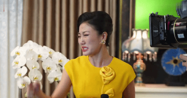 Tranh cãi cát-xê dàn diễn viên Thỏ Ơi!!: Văn Mai Hương xếp sau Quốc Anh, hạng 1 cao ngoài sức tưởng tượng