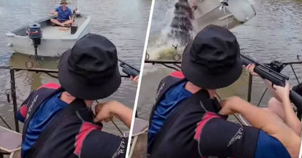 Thót tim khoảnh khắc "quái thú 3 tấn" lật úp ca nô chở du khách giữa sông