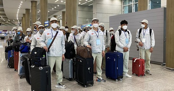 Tạm dừng hoạt động đưa người lao động đi làm việc tại khu vực Trung Đông