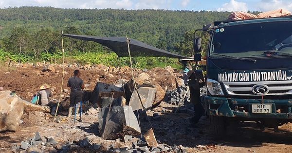 Tỉnh Gia Lai đã chỉ đạo quyết liệt nhưng 