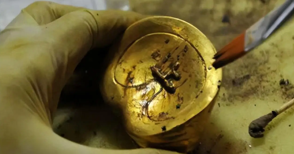 Đào sâu 0,8m, đội công nhân phát hiện hơn 5kg vàng: Công trường xây dựng lập tức bị phong tỏa