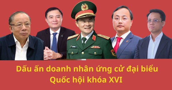 Từ Chủ tịch 71 tuổi đến Phó TGĐ 32 tuổi: Dấu ấn doanh nhân ứng cử đại biểu Quốc hội khóa XVI