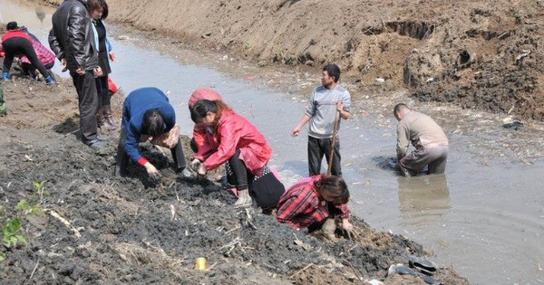 Công trường dừng thi công khẩn cấp vì máy xúc đào trúng vật cứng chứa hiện vật nặng hơn 100kg, con mương rộng 6m bị phong tỏa