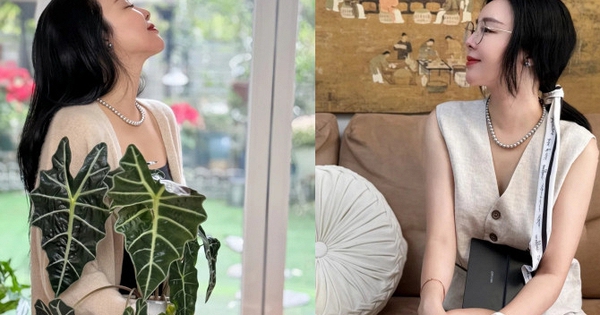 Quỹ hưu trí 19 tỷ và hành trình 