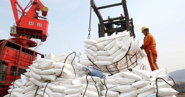 Không phải dầu mỏ, một mặt hàng khác đang thiếu hụt có nguy cơ làm rung chuyển ngành thực phẩm toàn cầu, Trung Quốc 'ngư ông đắc lợi'