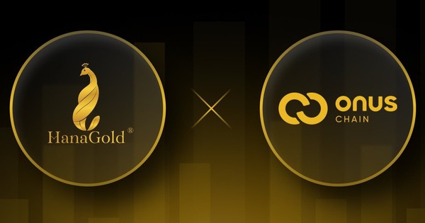 Công ty có quan hệ mật thiết với ONUS và HanaGold: Vốn mỏng, lợi nhuận cả năm chỉ vài tỷ nhưng ôm tham vọng làm sàn tài sản số