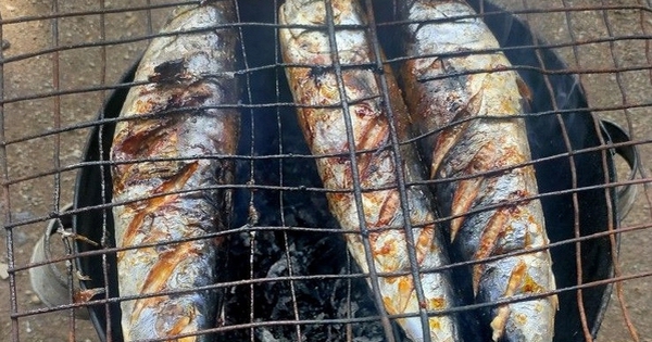 Loại cá giàu đạm, DHA gấp 3 lần cá hồi nhưng giá rẻ không bằng một nửa: Chợ Việt bán đầy