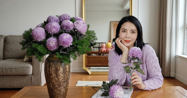 Say đắm cúc mẫu đơn tím nhưng sợ cắm lên bị già? Đừng vội mua nếu chưa biết bí mật về 