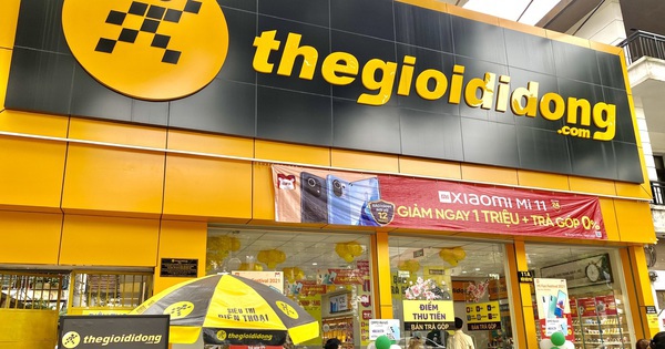 MWG dự chi cổ tức tỷ lệ 20%, bổ sung ngành nghề kinh doanh bất động sản