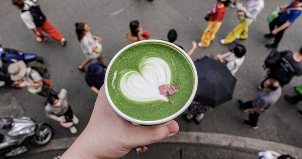 Hàng matcha đắt nhất nhì Việt Nam cân từng viên đá khi pha chế, tháng nào cũng có chuyên gia về kiểm tra