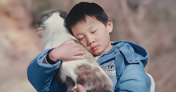 Nghiên cứu từ Đại học Cambridge: Trẻ thích chơi với 