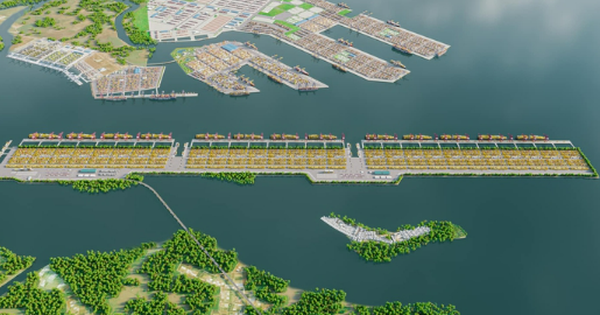 TP.HCM lựa chọn nhà đầu tư thực hiện Dự án Cảng trung chuyển quốc tế Cần Giờ