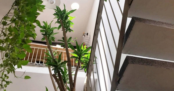 Ông bà dặn: Nhà có 4 dấu hiệu này đừng bao giờ bán, càng ở càng giàu, con cháu tha hồ hưởng lợi