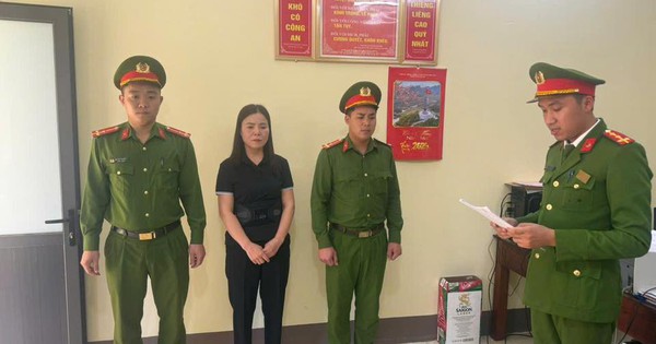 Khởi tố Vũ Thị Bích Ngọc, ai là bị hại liên hệ ngay số điện thoại 0982.619.586