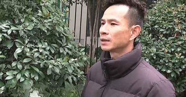 Xe Audi 1,6 tỷ đồng lao xuống ao, công ty bảo hiểm từ chối bồi thường với kết luận: “Có dấu hiệu chủ xe cố tình”