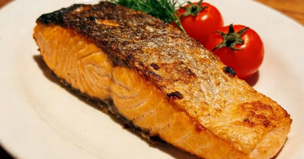 6 loại cá dễ chứa 