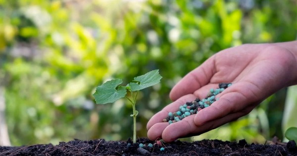 Giá phân bón có nguy cơ tăng do căng thẳng tại Trung Đông