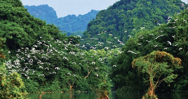 Từ 1/4, không chỉ Hang Múa mà 1 địa điểm nổi tiếng ở Ninh Bình đồng loạt tăng giá