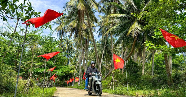 Thích mê rừng dừa xanh mướt nơi xã đảo Tam Hải