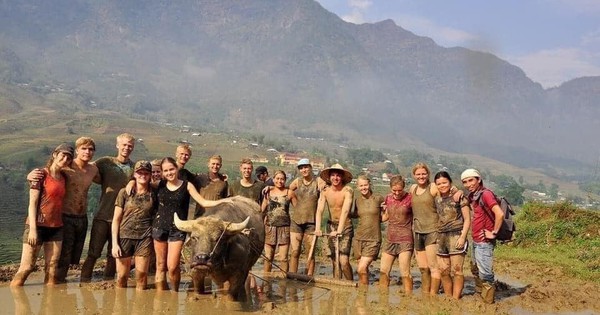 Không phải Bali hay Chiang Mai, báo Tây gọi tên một nơi ở Việt Nam là điểm chữa lành đáng ghé nhất 2026