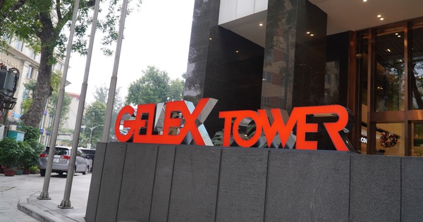 Ngày 1/4, GELEX tổ chức ĐHĐCĐ thường niên 2026