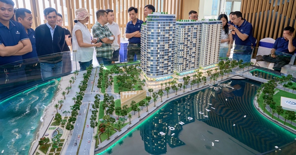 Vì sao bất động sản mũi vịnh hấp dẫn giới thượng lưu?