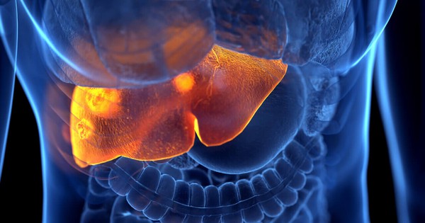 1 dấu hiệu “khó chịu” có thể là tín hiệu cho thấy gan đang suy hỏng nặng: Nếu có cần đi khám ngay