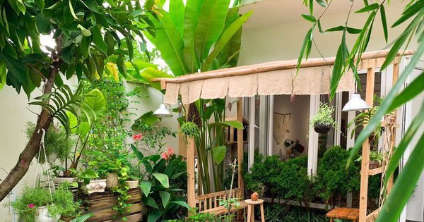 3 loại cây đừng trồng sau nhà