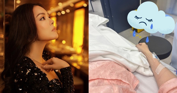 Nữ diễn viên Việt nổi tiếng: Tình duyên lận đận, liên tiếp gặp biến cố, kiệt sức phải nhập viện