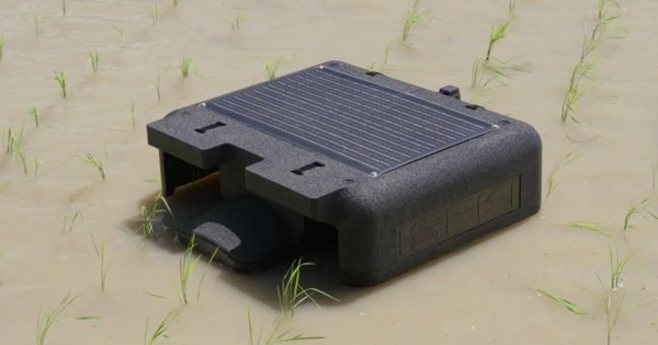 VN làm thành công dự án đầu tiên trên TG trong lĩnh vực nuôi sống một nửa nhân loại: Vừa áp dụng robot AI