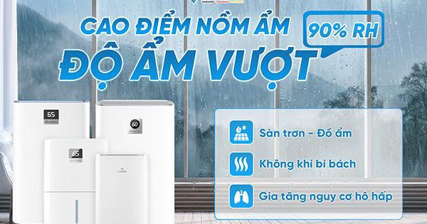 Cao điểm trời mưa nồm ẩm - Máy hút ẩm trở thành cứu tinh