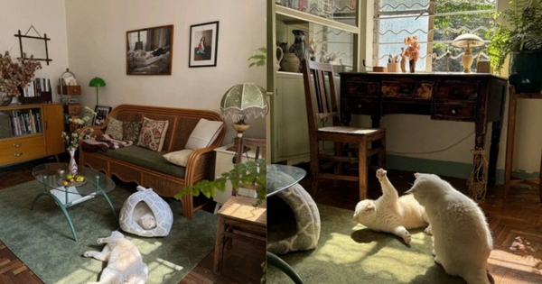 Cụ bà 73 tuổi không phiền con cháu, già đi lặng lẽ trong căn nhà cũ ở quê: Cuộc sống dịu dàng, chữa lành đến lạ