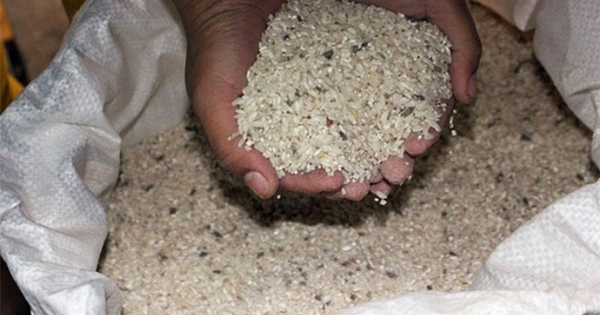 5 kiểu bảo quản gạo của người Việt làm tăng tốc độ hư hỏng, cơm không ngon mà còn dễ khiến cả nhà mắc bệnh