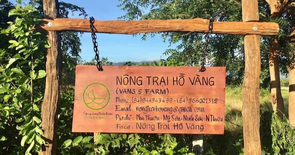 Xác minh hoạt động tôn giáo tại ‘nông trại Hồ Vàng’ sau vụ ông Thích Nhuận Đạt