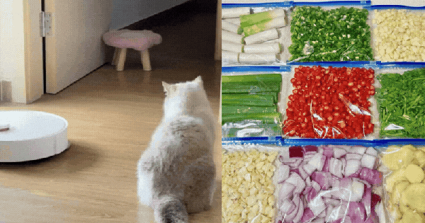 Tôi học cách dọn nhà của giới trẻ và nhận ra: Chỉ cần đổi tư duy, việc nhà giảm một nửa mà nhà vẫn gọn gàng mỗi ngày