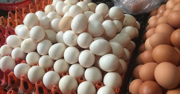 Mua trứng: Nên chọn quả to hay quả nhỏ? Người chăn nuôi tiết lộ đáp án