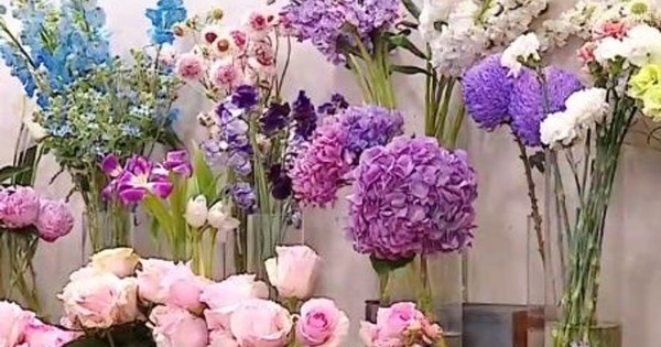 Thị trường hoa 8/3: Giá tăng, khách chọn bó hoa vừa túi tiền