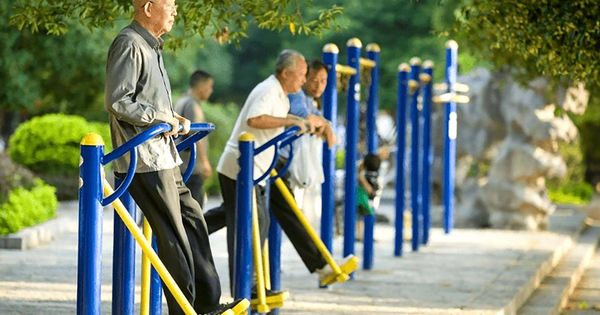 Ai sống lâu hơn: người ít vận động hay tập thể dục mỗi ngày? Một cuộc khảo sát 36.383 người cao tuổi đã đưa ra câu trả lời