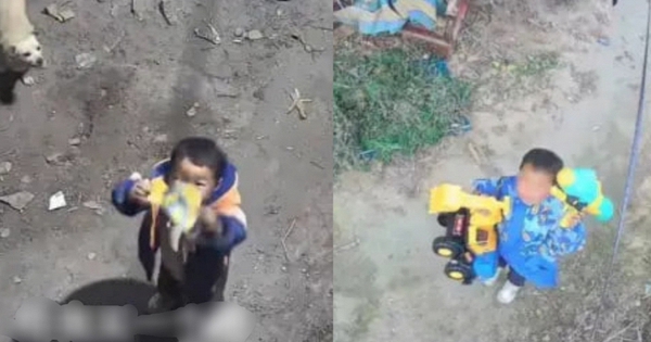 Cậu bé 4 tuổi ở quê gọi bố qua camera xin mua đồ chơi: Dễ thương đến mức cư dân mạng liên tục xin địa chỉ để gửi quà