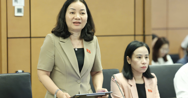 Đại biểu nêu bất cập khi dịch vụ công số 