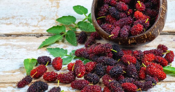 Loại quả mọc dại ở Việt Nam: rẻ hơn 30 lần việt quất nhưng dinh dưỡng lại tương đương