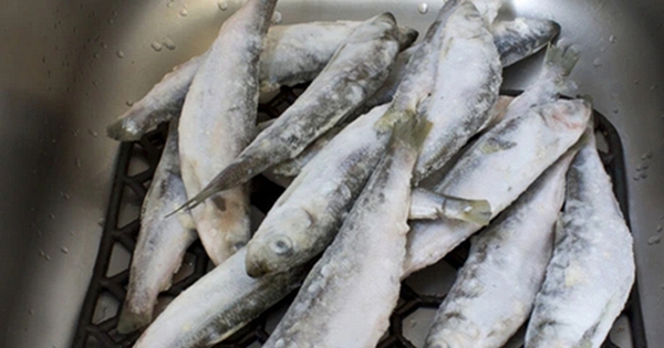 Bé trai 9 tuổi mắc ung thư máu vì thường xuyên ăn 1 loại cá, bác sĩ nhắc: 3 loại cá độc nên tránh xa