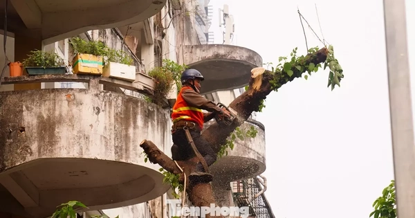 Hà Nội phá dỡ chung cư 51 Huỳnh Thúc Kháng sau 35 năm