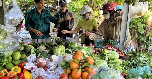 Giá thịt cá ngoài chợ nhích lên, bà nội trợ 'khéo co thì ấm'