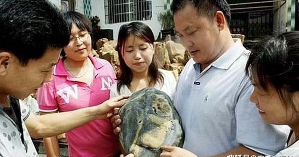 Nhặt viên đá có hoa văn lạ trên bãi biển, người đàn ông sững sờ khi chuyên gia định giá hơn 500 tỷ đồng