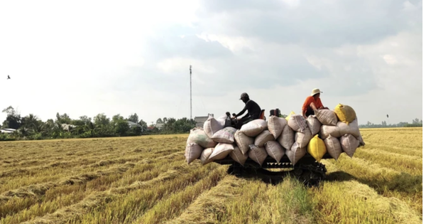 Giá xăng dầu điều chỉnh nhưng nhiều dịch vụ lại không giảm tương ứng