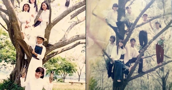 Dân mạng trẻ thắc mắc tại sao thế hệ 7x, 8x toàn chụp ảnh trên cây